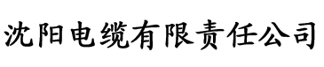 黄视频aPP污电缆厂logo